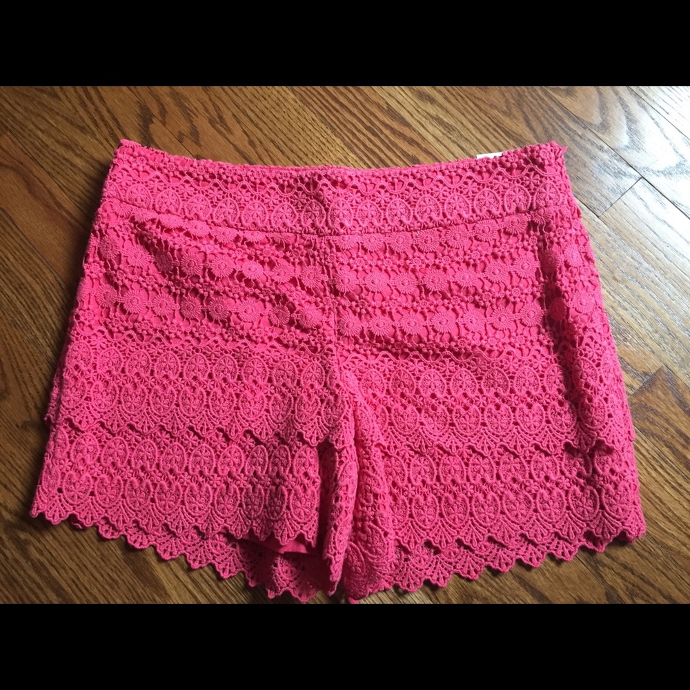 NWT Loft Riviera shorts (6)